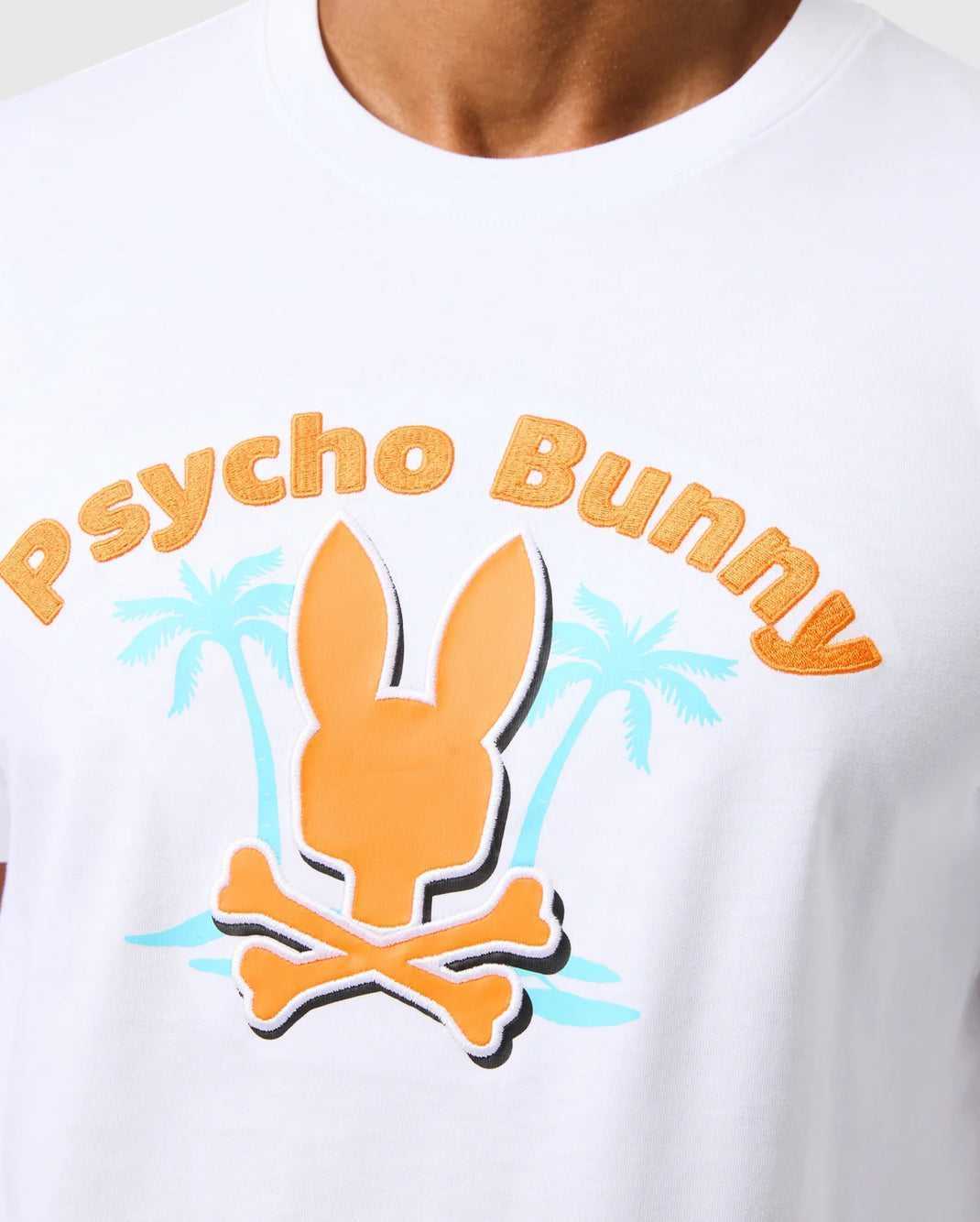 Tees Psycho Bunny Boston Graphic Tee Blanche Homme | JOX-23438930